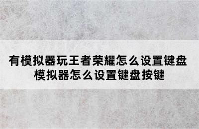 有模拟器玩王者荣耀怎么设置键盘 模拟器怎么设置键盘按键